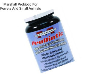 Marshall Probiotic For Ferrets And Small Animals