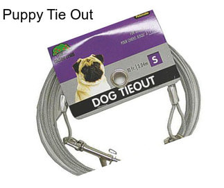 Puppy Tie Out
