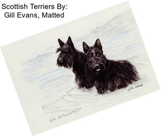 Scottish Terriers By: Gill Evans, Matted