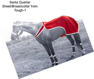 Santa Quarter Sheet/Breastcollar from Tough-1