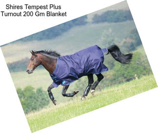 Shires Tempest Plus Turnout 200 Gm Blanket