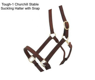 Tough-1 Churchill Stable Suckling Halter with Snap