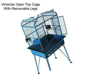 Victorian Open Top Cage With Removable Legs