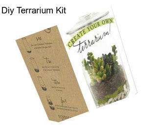 Diy Terrarium Kit