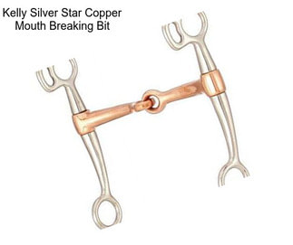 Kelly Silver Star Copper Mouth Breaking Bit