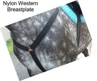 Nylon Western Breastplate