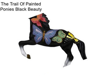 The Trail Of Painted Ponies Black Beauty