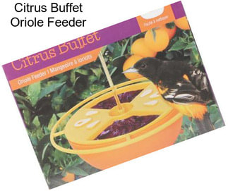 Citrus Buffet Oriole Feeder