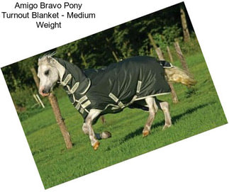 Amigo Bravo Pony Turnout Blanket - Medium Weight