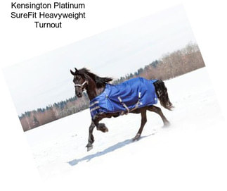 Kensington Platinum SureFit Heavyweight Turnout