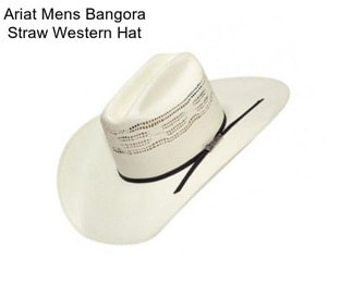 Ariat Mens Bangora Straw Western Hat