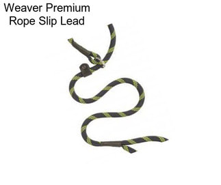 Weaver Premium Rope Slip Lead