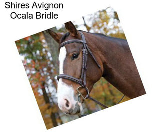 Shires Avignon Ocala Bridle