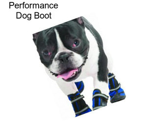 Performance Dog Boot