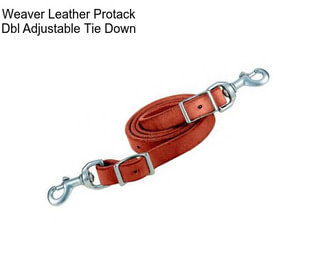 Weaver Leather Protack Dbl Adjustable Tie Down