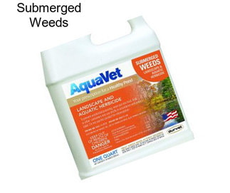 Submerged Weeds