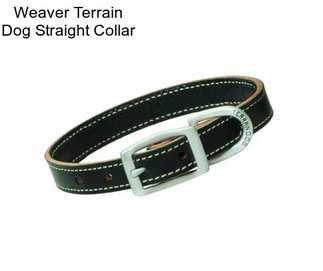 Weaver Terrain Dog Straight Collar