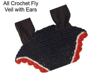 All Crochet Fly Veil with Ears