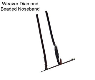 Weaver Diamond Beaded Noseband
