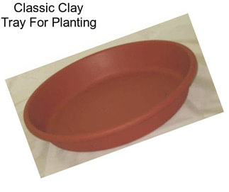 Classic Clay Tray For Planting