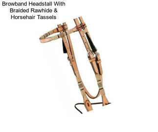 Browband Headstall With Braided Rawhide & Horsehair Tassels