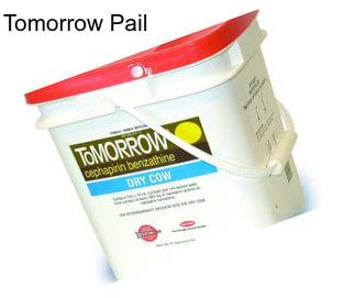 Tomorrow Pail