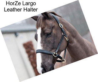 HorZe Largo Leather Halter