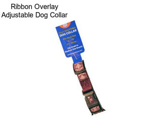 Ribbon Overlay Adjustable Dog Collar