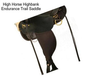 High Horse Highbank Endurance Trail Saddle