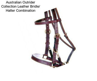 Australian Outrider Collection Leather Bridle/ Halter Combination