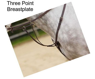 Three Point Breastplate