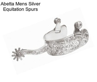 Abetta Mens Silver Equitation Spurs