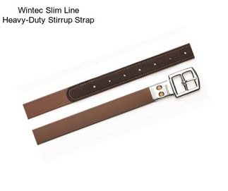 Wintec Slim Line Heavy-Duty Stirrup Strap