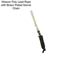 Weaver Poly Lead Rope with Brass Plated Swivel Chain