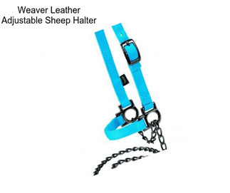 Weaver Leather Adjustable Sheep Halter