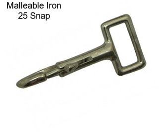 Malleable Iron 25 Snap