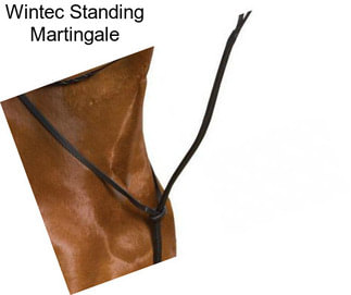 Wintec Standing Martingale
