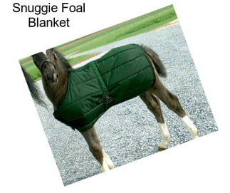 Snuggie Foal Blanket