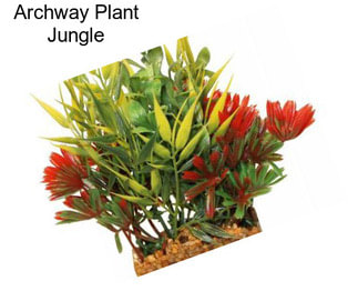 Archway Plant Jungle