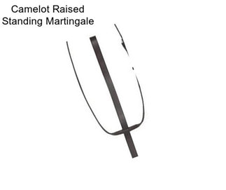 Camelot Raised Standing Martingale