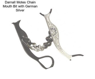 Darnall Motes Chain Mouth Bit with German Silver