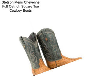 Stetson Mens Cheyenne Full Ostrich Square Toe Cowboy Boots