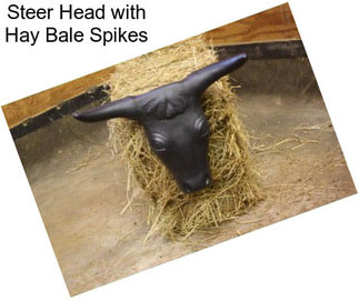 Steer Head with Hay Bale Spikes