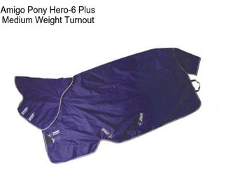 Amigo Pony Hero-6 Plus Medium Weight Turnout