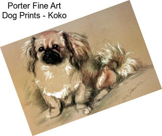 Porter Fine Art Dog Prints - Koko