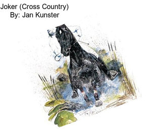 Joker (Cross Country) By: Jan Kunster