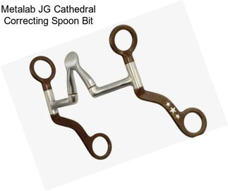 Metalab JG Cathedral Correcting Spoon Bit