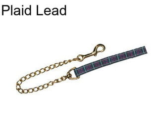 Plaid Lead