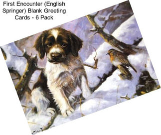 First Encounter (English Springer) Blank Greeting Cards - 6 Pack