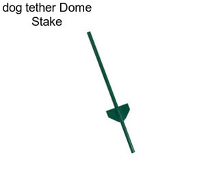 Dog tether Dome Stake